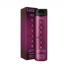 Shampoo Cabellos Secos Y Castigados X 260 Ml. - Caviar - Fidelite